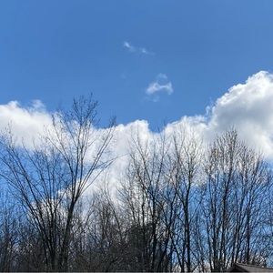 Canvas print of a photo, laminated with mirrored sides